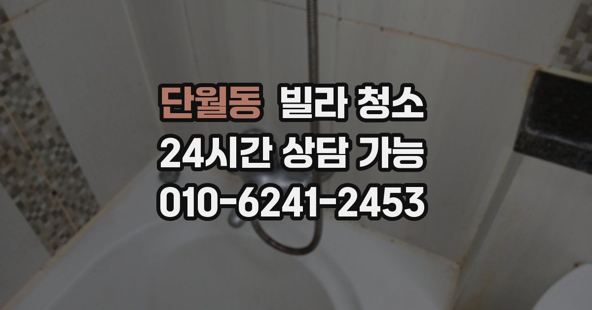 단월동 빌라 청소