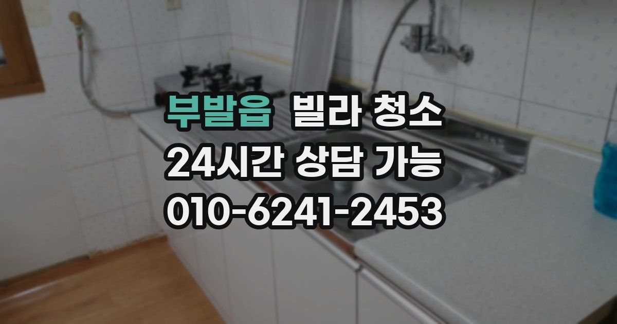 부발읍 빌라 청소