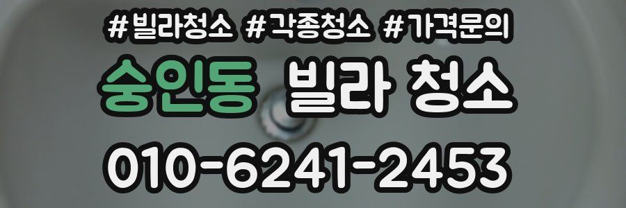 숭인동 빌라 청소