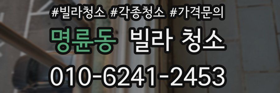 명륜동 빌라 청소