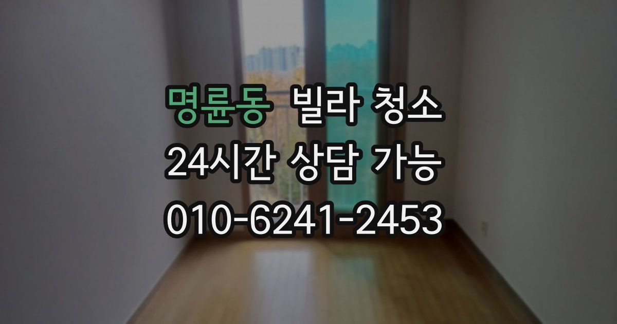 명륜동 빌라 청소