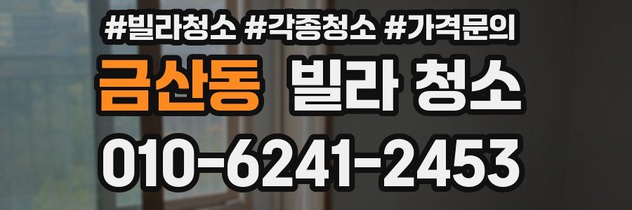 금산동 빌라 청소