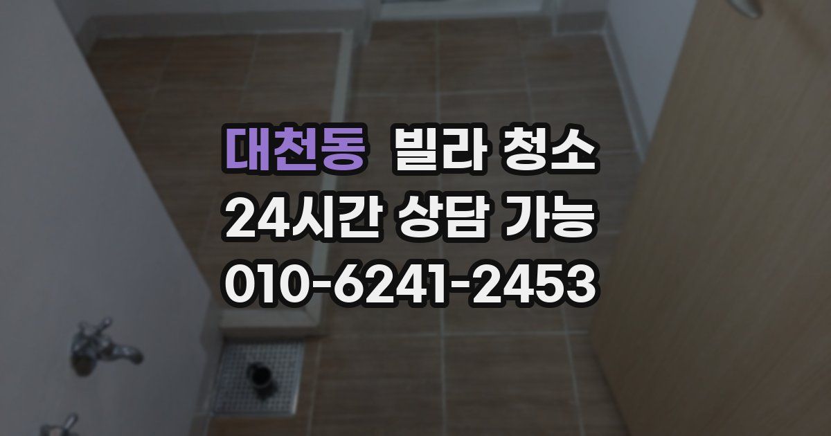 대천동 빌라 청소