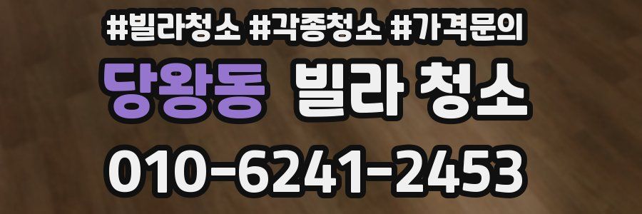 당왕동 빌라 청소