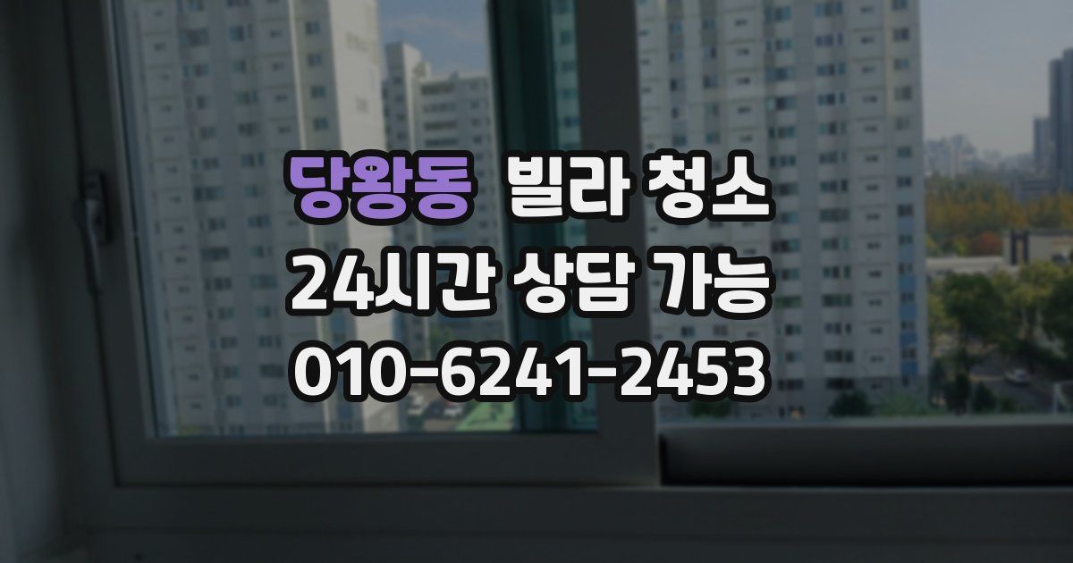 당왕동 빌라 청소