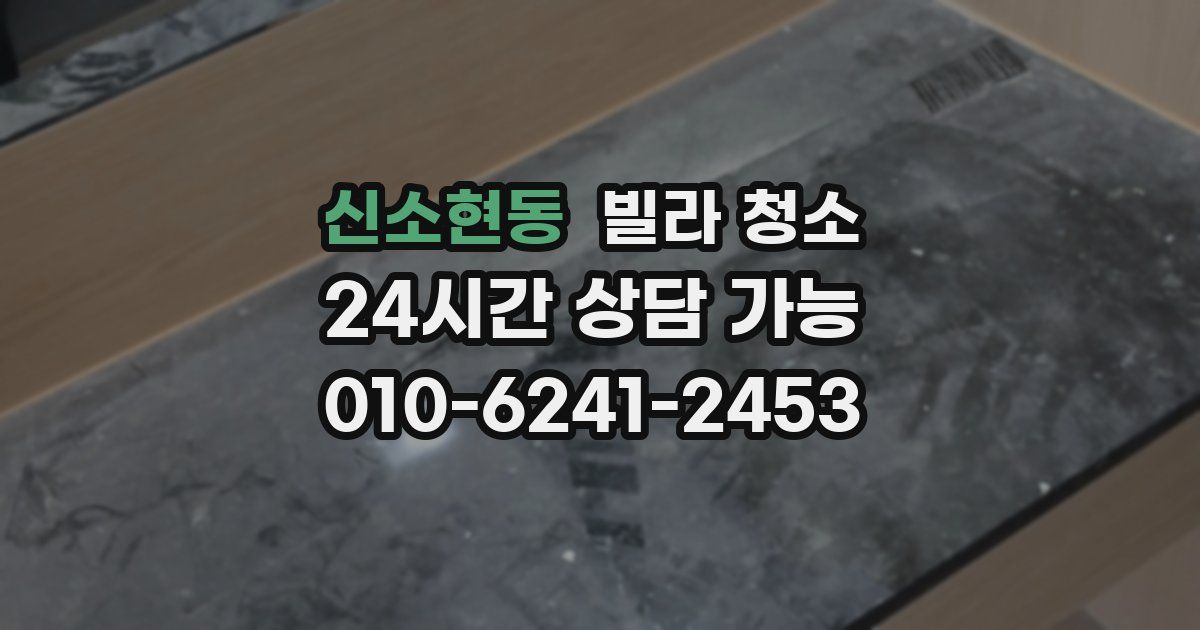 신소현동 빌라 청소