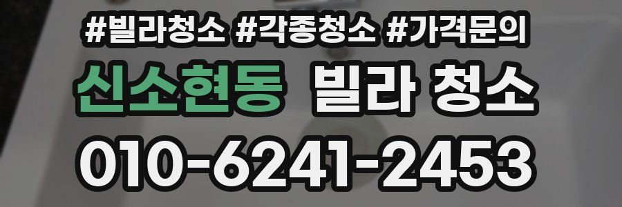 신소현동 빌라 청소