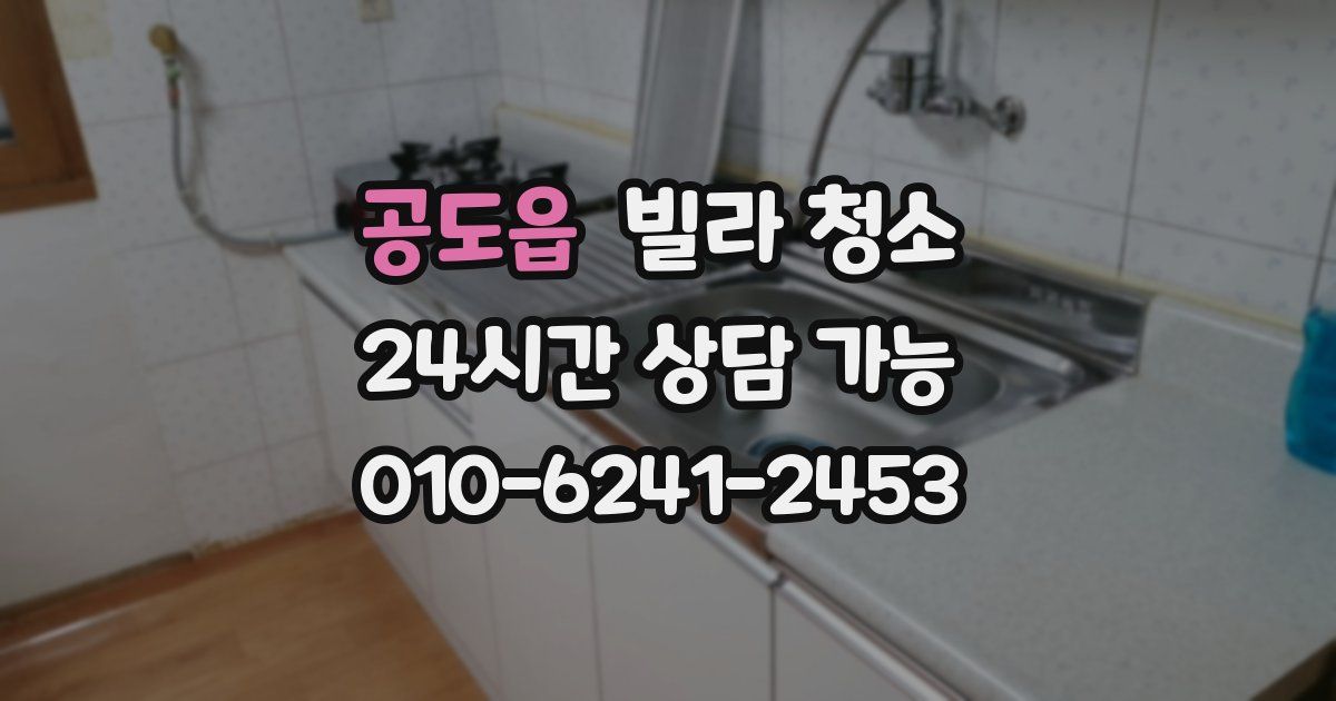 공도읍 빌라 청소