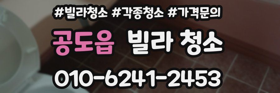 공도읍 빌라 청소