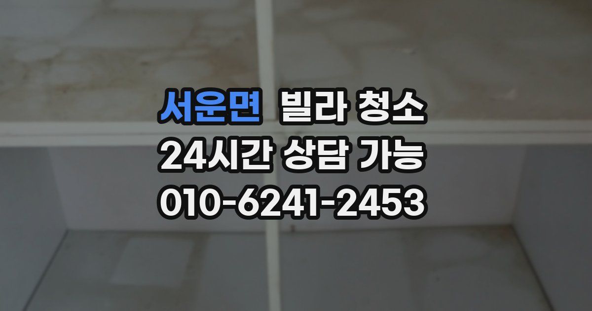 서운면 빌라 청소