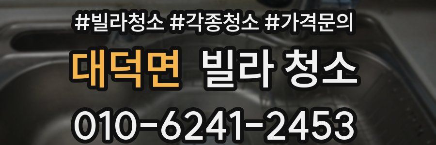 대덕면 빌라 청소