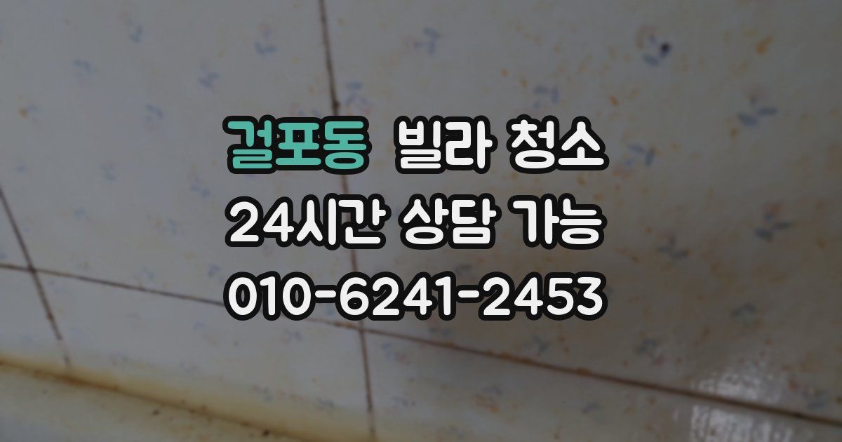 걸포동 빌라 청소