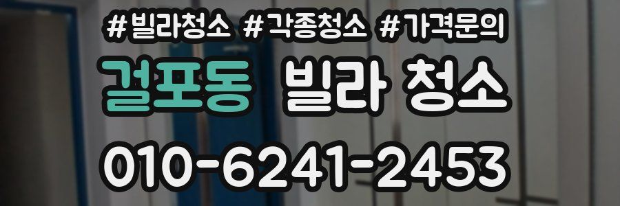 걸포동 빌라 청소