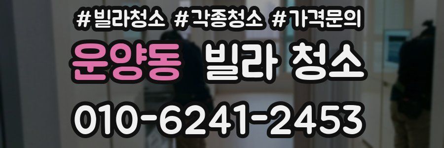 운양동 빌라 청소