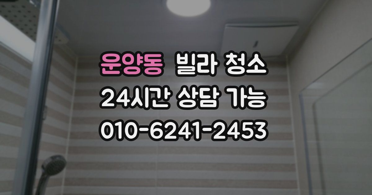 운양동 빌라 청소