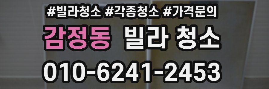 감정동 빌라 청소