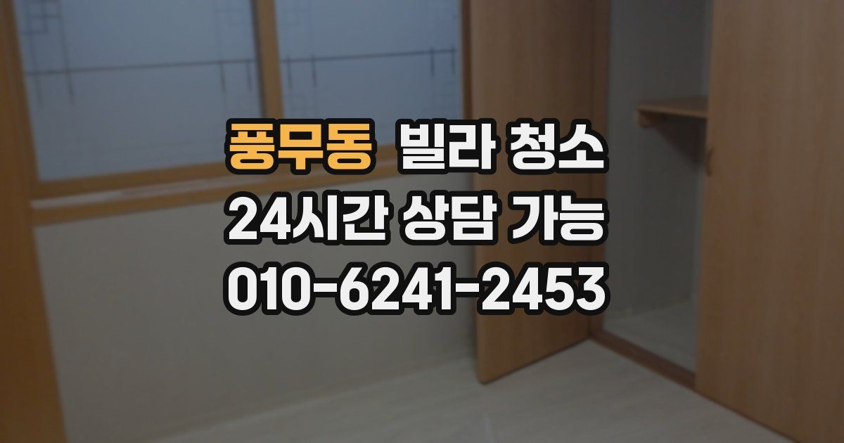 풍무동 빌라 청소