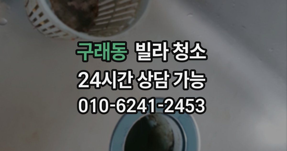 구래동 빌라 청소