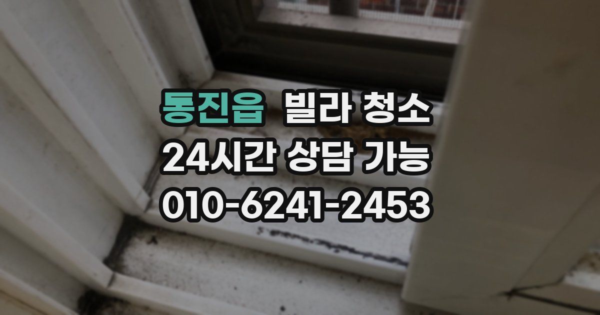 통진읍 빌라 청소