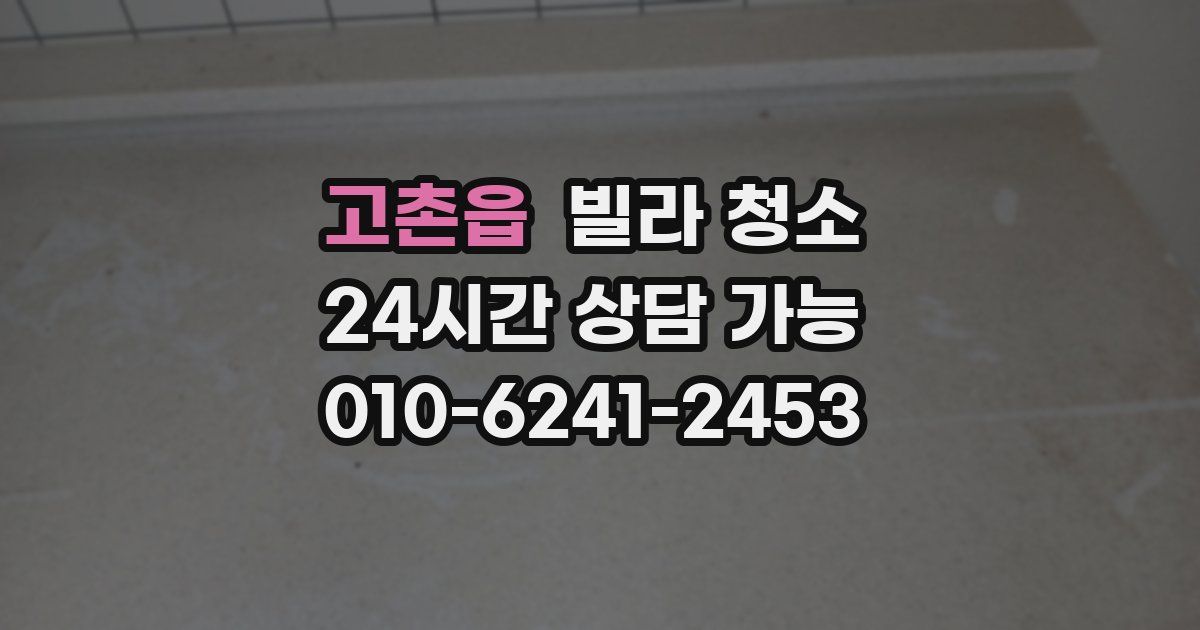 고촌읍 빌라 청소