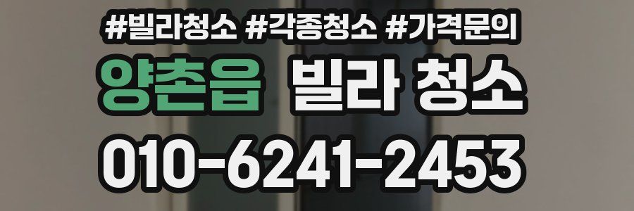 양촌읍 빌라 청소