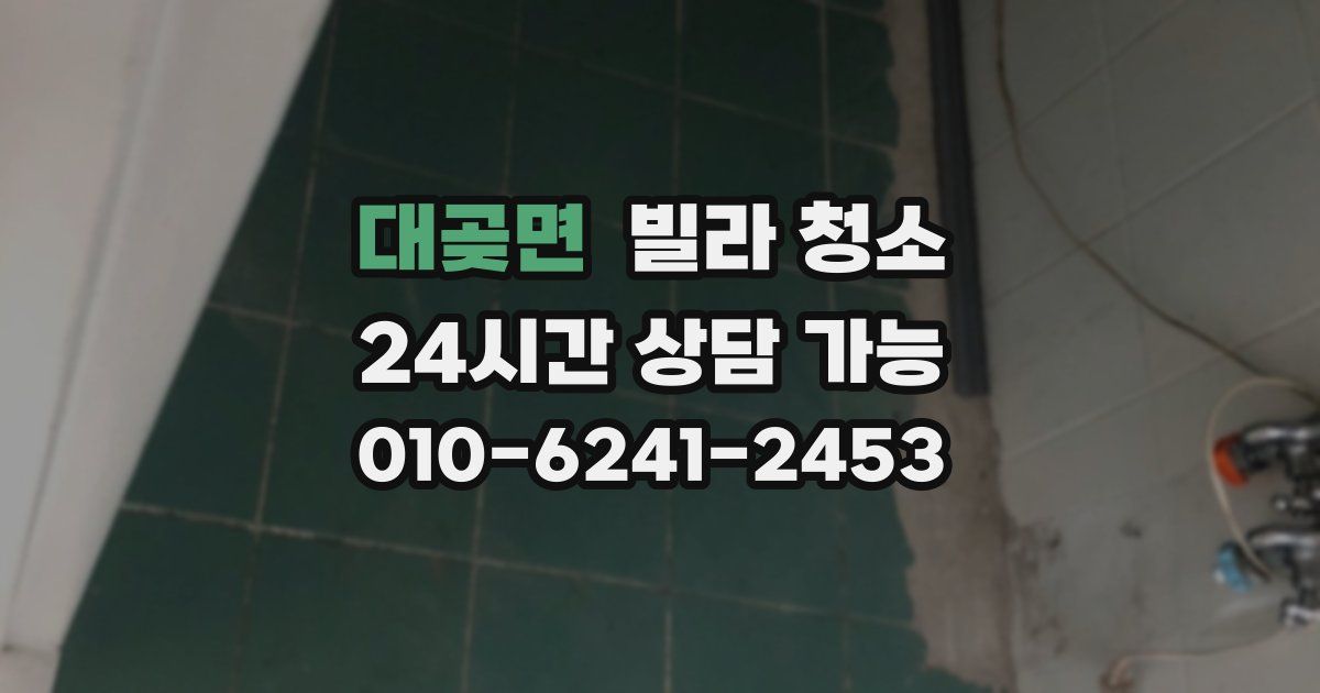 대곶면 빌라 청소