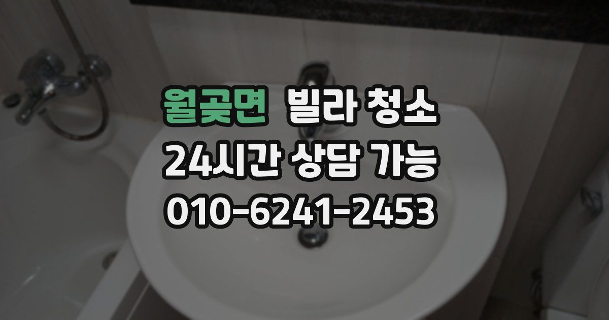 월곶면 빌라 청소