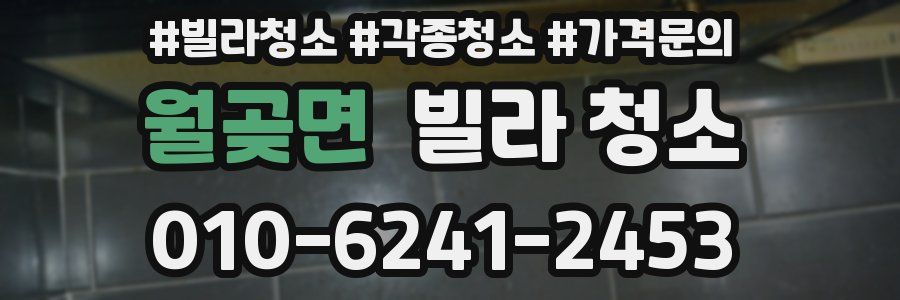 월곶면 빌라 청소