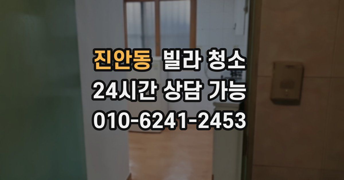 진안동 빌라 청소