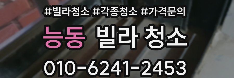 능동 빌라 청소