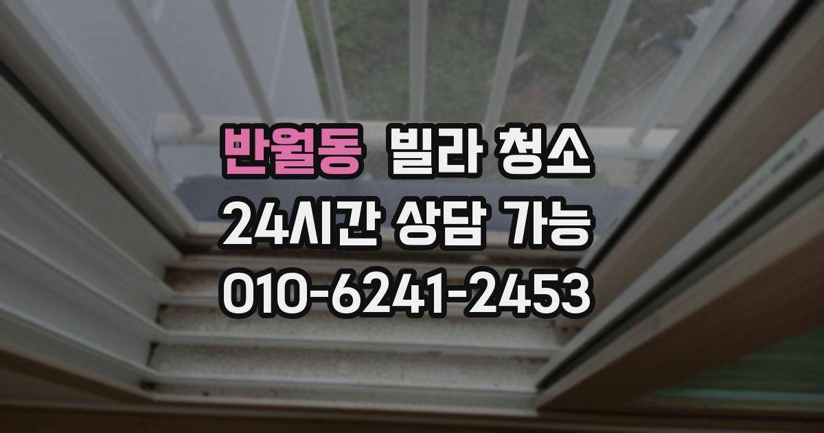 반월동 빌라 청소