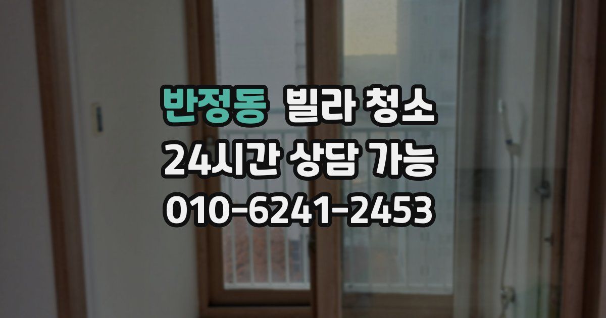 반정동 빌라 청소