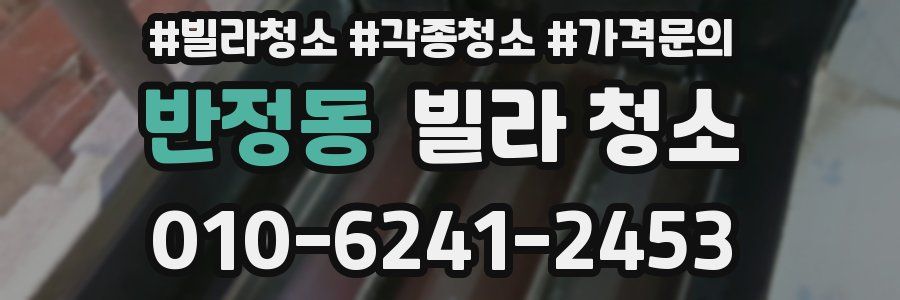 반정동 빌라 청소