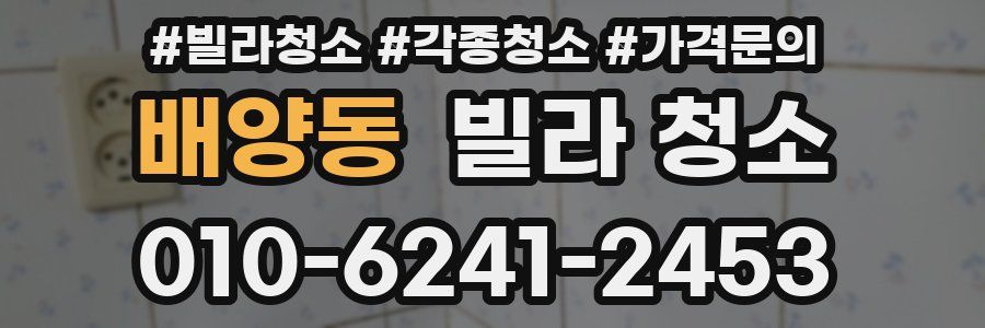 배양동 빌라 청소