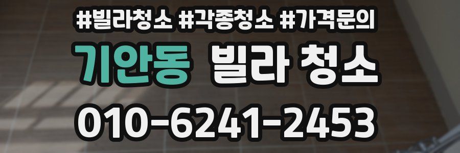 기안동 빌라 청소