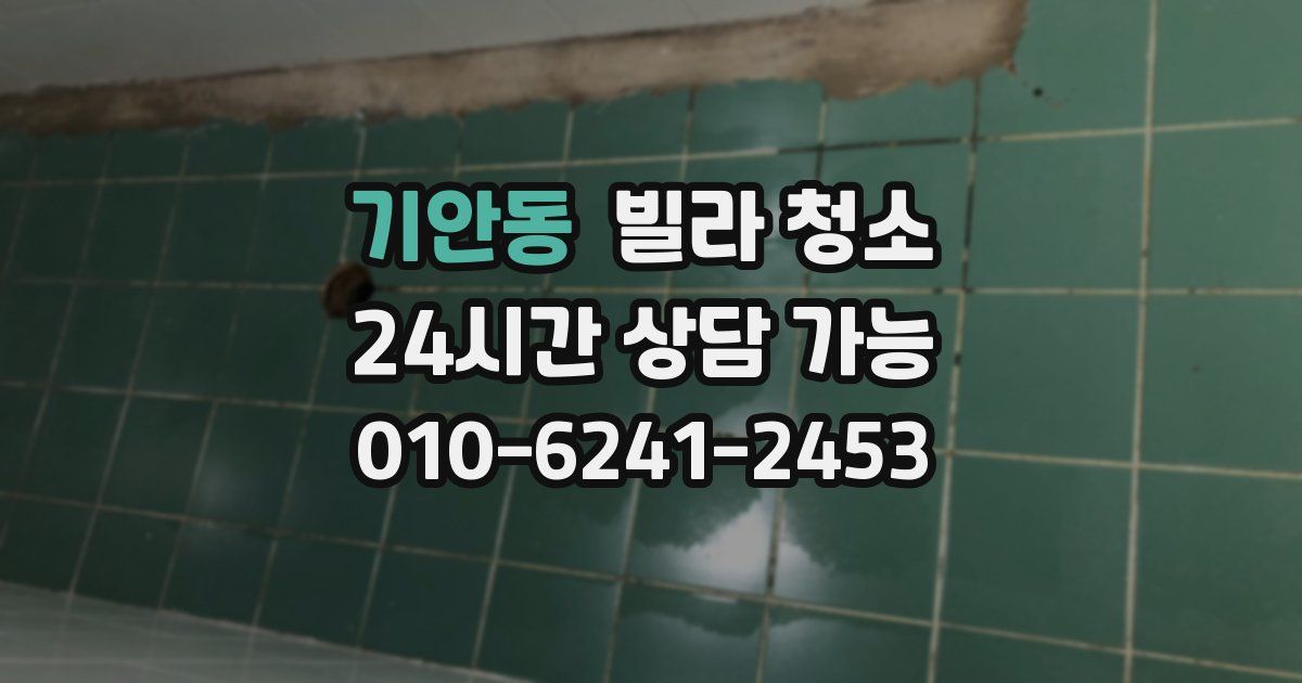 기안동 빌라 청소