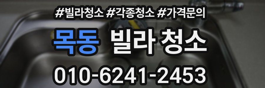 목동 빌라 청소