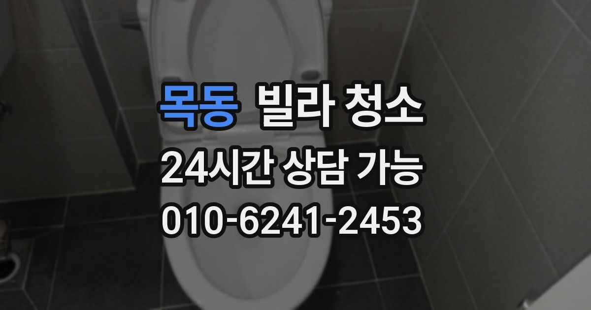 목동 빌라 청소