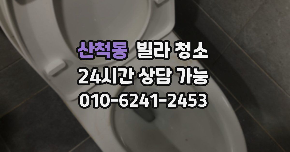 산척동 빌라 청소