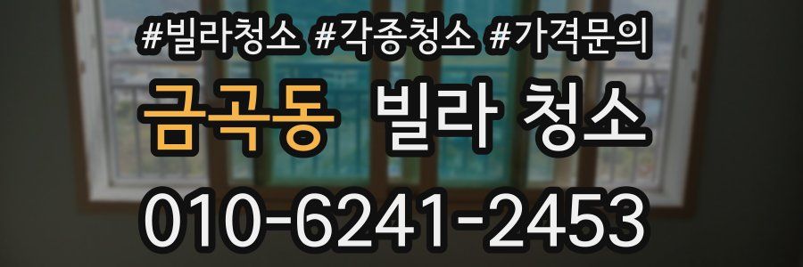 금곡동 빌라 청소