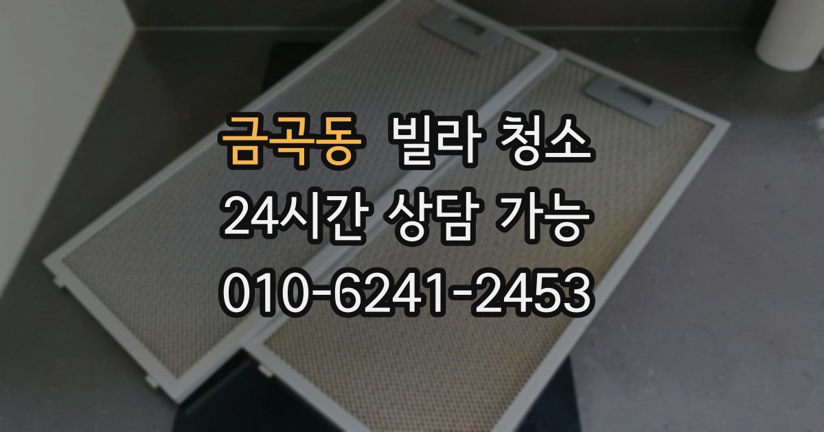 금곡동 빌라 청소