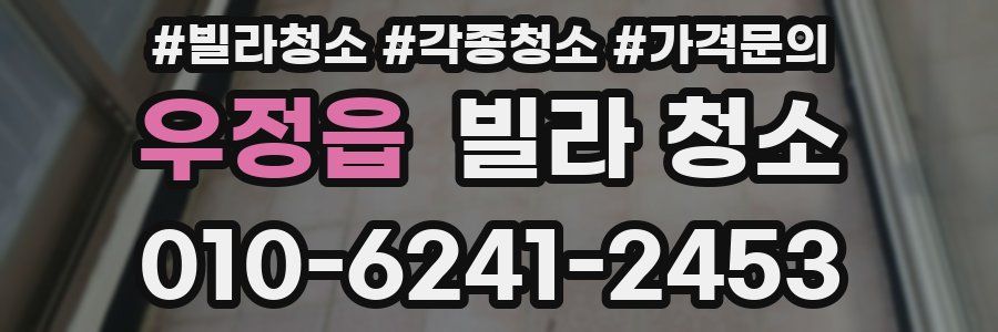 우정읍 빌라 청소