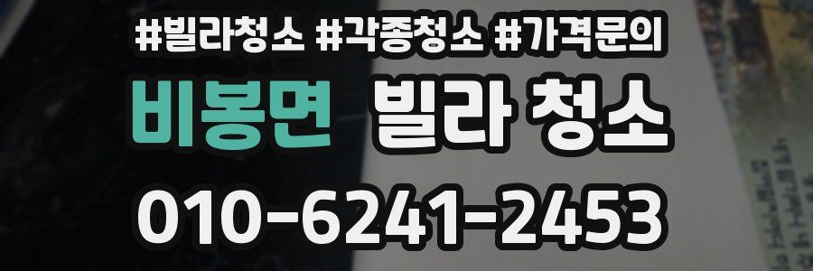 비봉면 빌라 청소