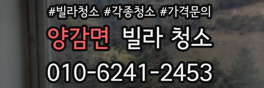 양감면 빌라 청소