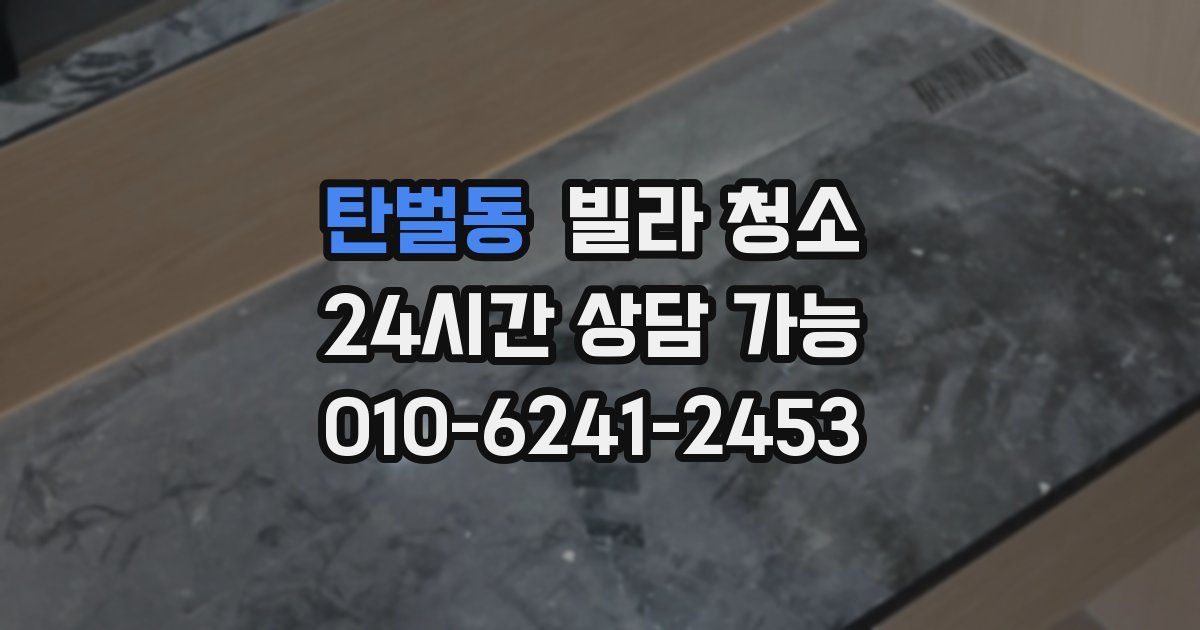 탄벌동 빌라 청소