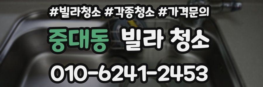 중대동 빌라 청소