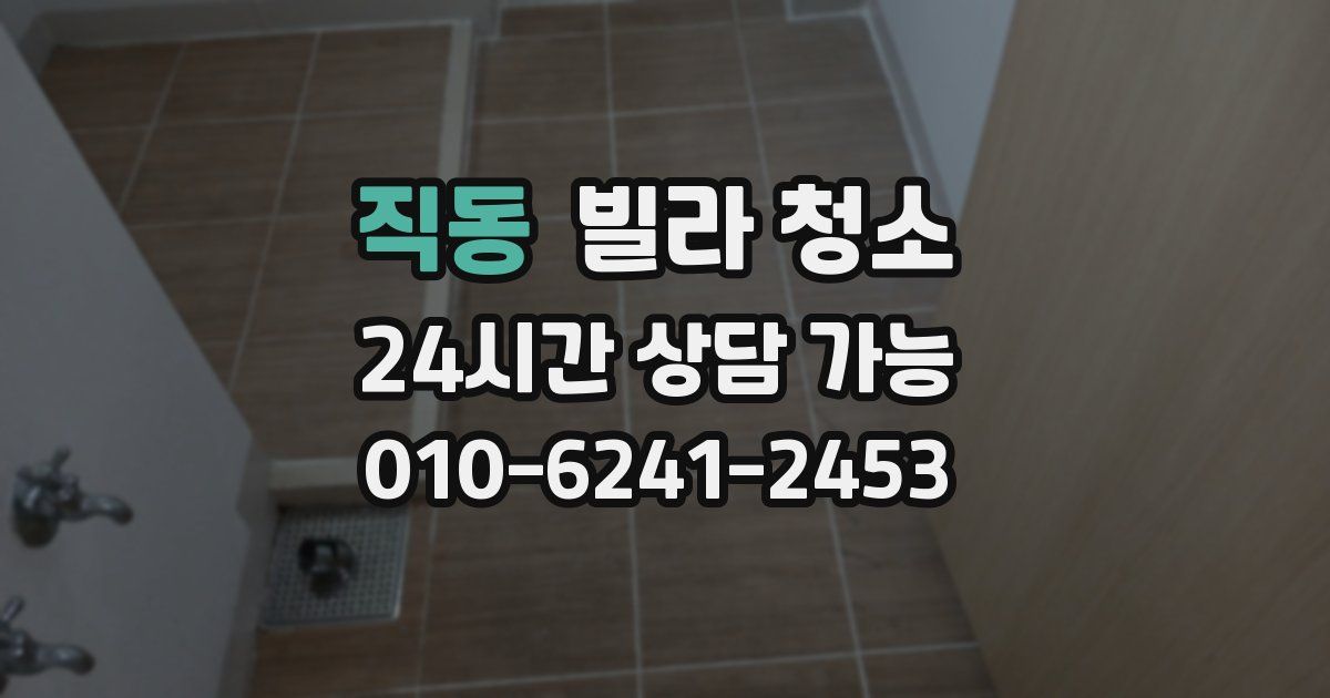 직동 빌라 청소