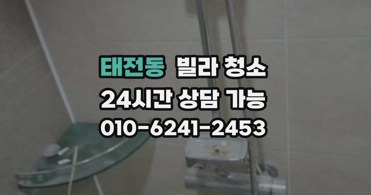 태전동 빌라 청소