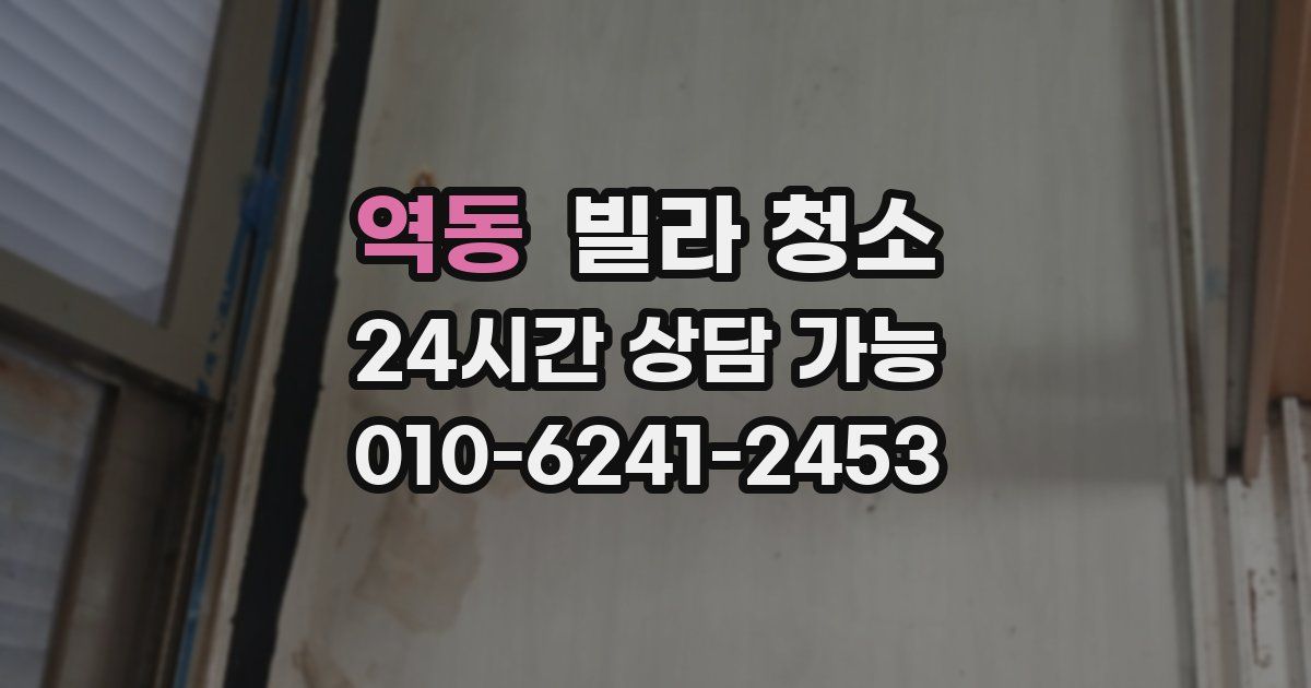 역동 빌라 청소