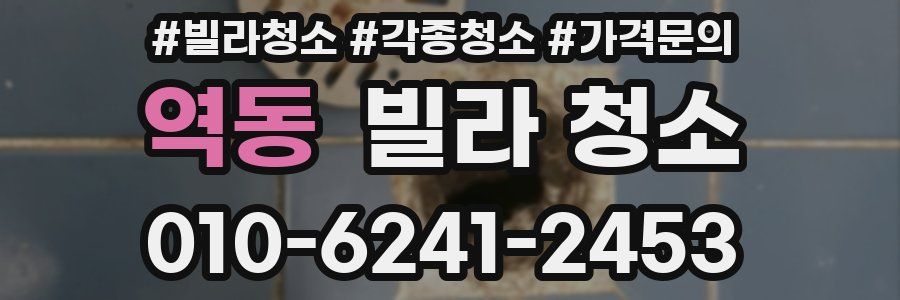 역동 빌라 청소